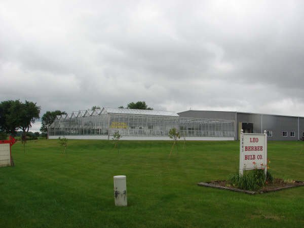 greenhouse.jpg