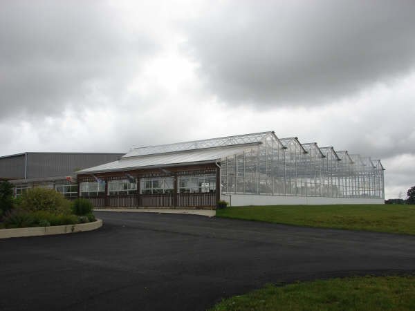 greenhouse3.jpg