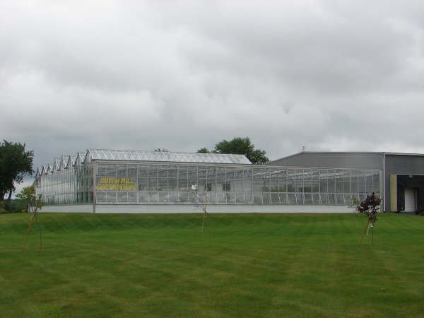 greenhouse5.jpg