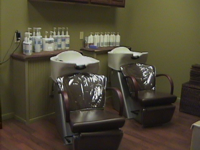 salonarea4.jpg